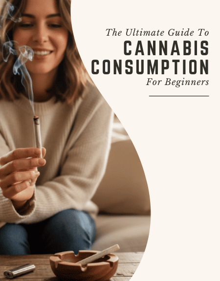 Blog Post - Cannabis Consumption Methods